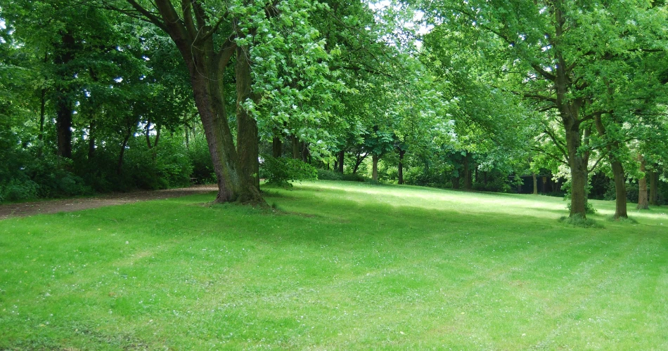 Strolling Through Sanjay Gandhi National Park