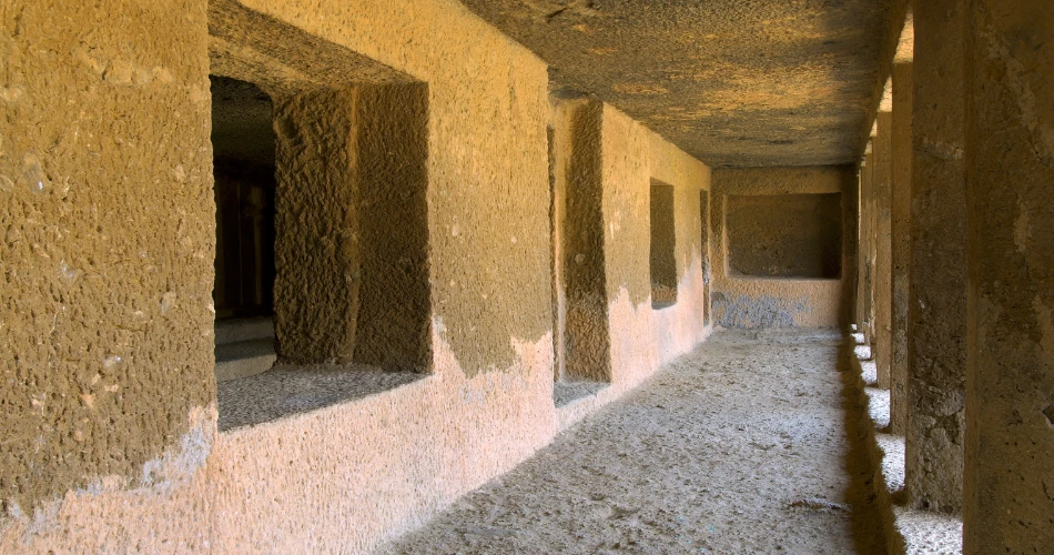 Strolling Through Sanjay Gandhi National Park